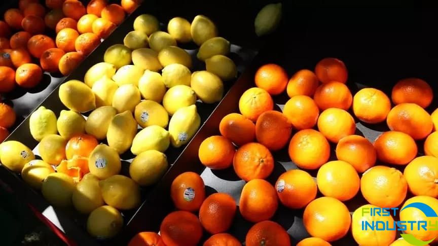 images/1576047075412640.webp (1).jpg